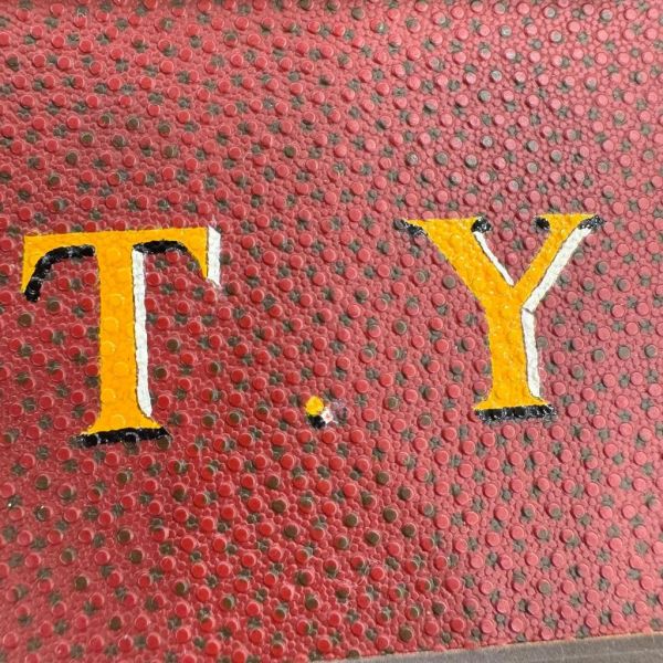 Louis Vuitton 硬箱 紅皮革旅行箱 