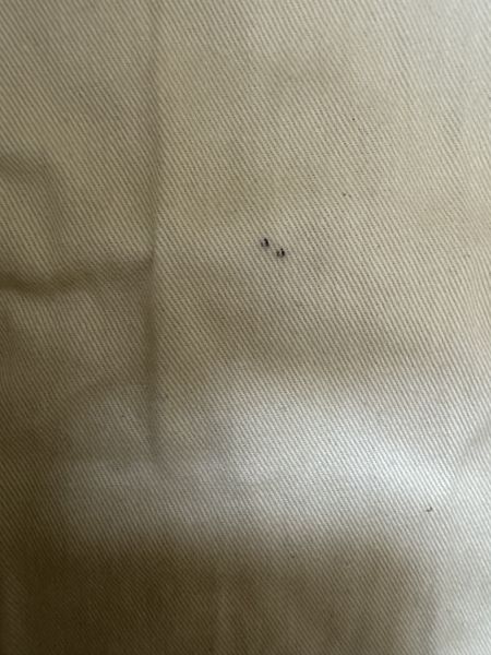 Chloe Edith Bag 米白前口袋手提包 