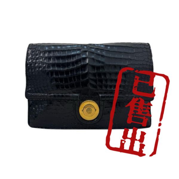 Hermès 稀有鱷魚皮皮包 