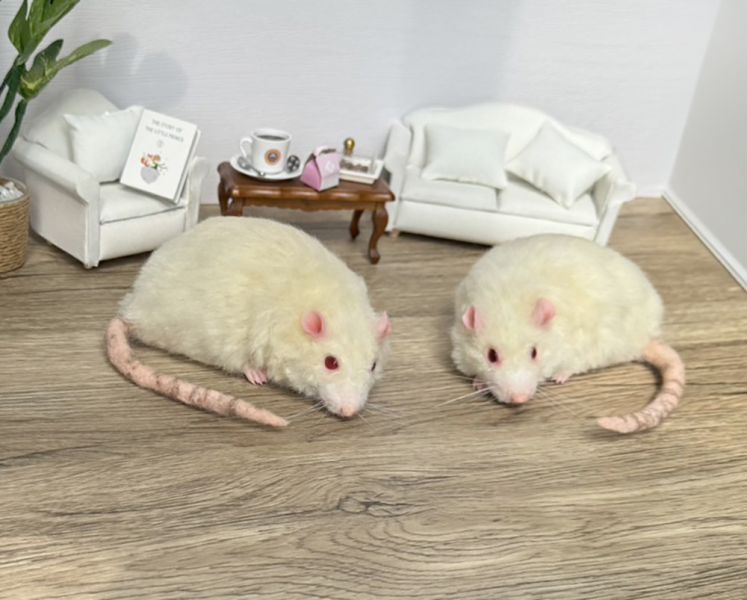 客製化擬真植毛短毛鼠羊毛氈 羊毛氈,客製,寵物客製化,羊毛氈手作,寵物羊毛氈,鼠,黃金鼠,倉鼠,大白鼠,天竺鼠,擬真,植毛,客製毛孩,寵物紀念,羊毛氈紀念