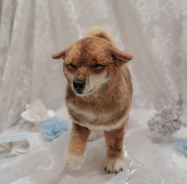 客製化擬真植毛狗羊毛氈 羊毛氈,客製,寵物客製化,羊毛氈手作,寵物羊毛氈,狗,擬真,植毛,客製毛孩,寵物紀念,羊毛氈紀念