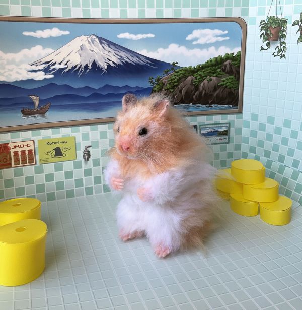 客製化擬真植毛長毛鼠羊毛氈 羊毛氈,客製,寵物客製化,羊毛氈手作,寵物羊毛氈,鼠,黃金鼠,倉鼠,天竺鼠,擬真,植毛,客製毛孩,寵物紀念,羊毛氈紀念