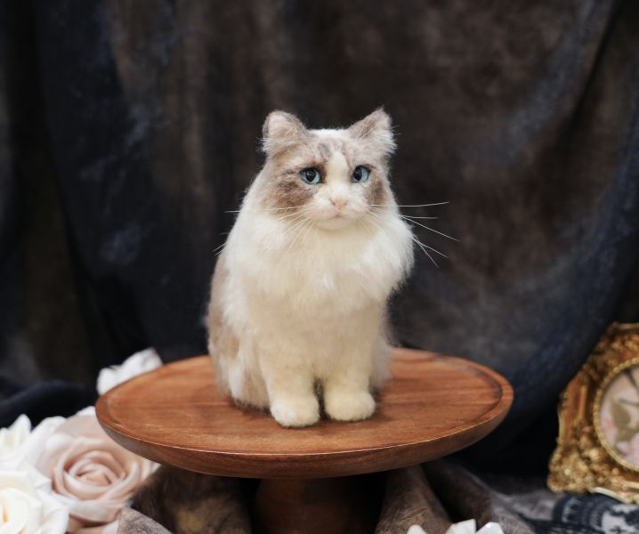 客製化擬真植毛長毛貓咪羊毛氈 羊毛氈,客製,寵物客製化,羊毛氈手作,寵物羊毛氈,貓,擬真,植毛,客製毛孩,寵物紀念,羊毛氈紀念