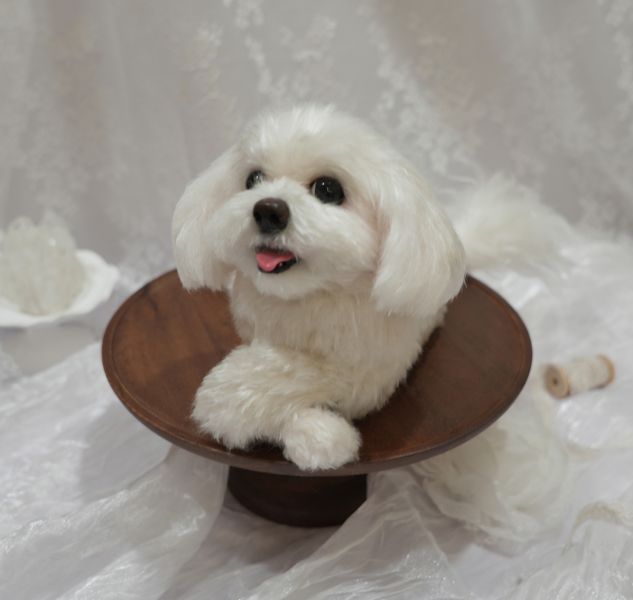 客製化擬真植毛狗羊毛氈 羊毛氈,客製,寵物客製化,羊毛氈手作,寵物羊毛氈,狗,擬真,植毛,客製毛孩,寵物紀念,羊毛氈紀念