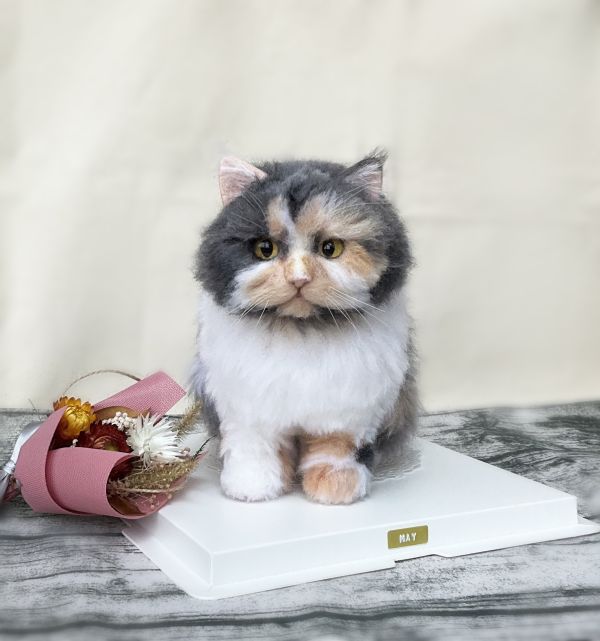 客製化擬真植毛長毛貓咪羊毛氈 羊毛氈,客製,寵物客製化,羊毛氈手作,寵物羊毛氈,貓,擬真,植毛,客製毛孩,寵物紀念,羊毛氈紀念