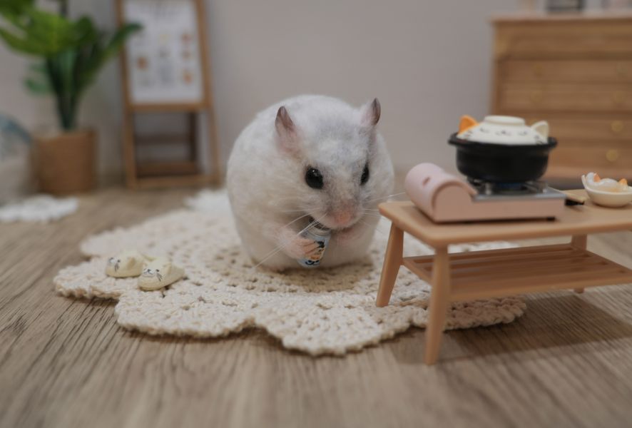 客製化擬真植毛短毛鼠羊毛氈 羊毛氈,客製,寵物客製化,羊毛氈手作,寵物羊毛氈,鼠,黃金鼠,倉鼠,大白鼠,天竺鼠,擬真,植毛,客製毛孩,寵物紀念,羊毛氈紀念