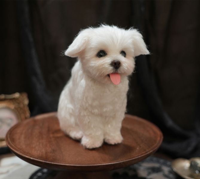 客製化擬真植毛狗羊毛氈 羊毛氈,客製,寵物客製化,羊毛氈手作,寵物羊毛氈,狗,擬真,植毛,客製毛孩,寵物紀念,羊毛氈紀念