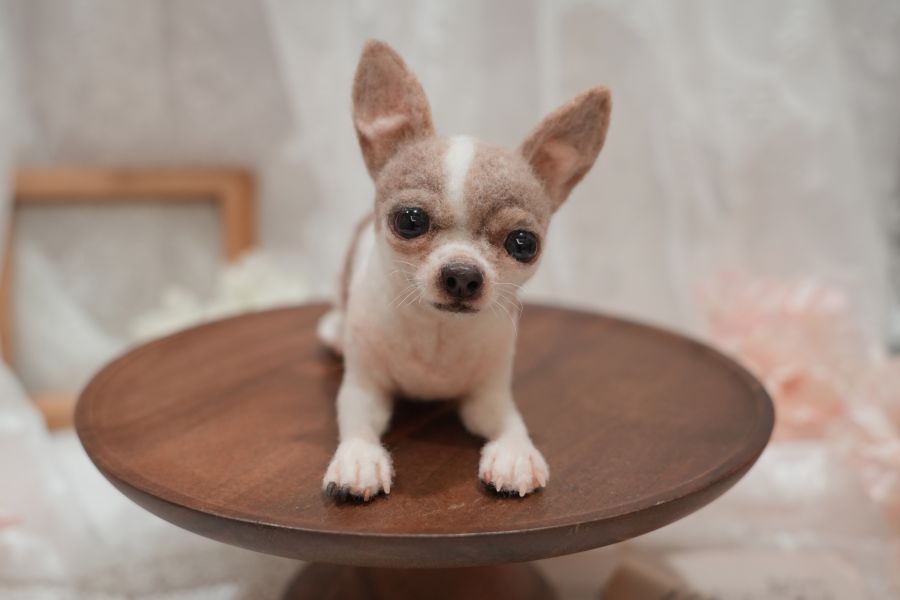 客製化擬真鋪毛狗羊毛氈 羊毛氈,客製,寵物客製化,羊毛氈手作,寵物羊毛氈,狗,擬真,鋪毛,客製毛孩,寵物紀念,羊毛氈紀念