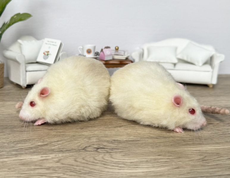 客製化擬真植毛短毛鼠羊毛氈 羊毛氈,客製,寵物客製化,羊毛氈手作,寵物羊毛氈,鼠,黃金鼠,倉鼠,大白鼠,天竺鼠,擬真,植毛,客製毛孩,寵物紀念,羊毛氈紀念