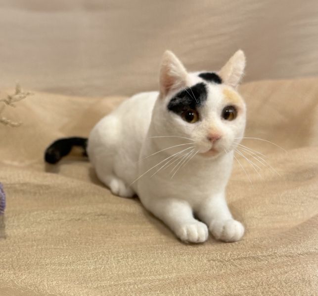 客製化擬真鋪毛短毛貓咪羊毛氈 羊毛氈,客製,寵物客製化,羊毛氈手作,寵物羊毛氈,貓,擬真,鋪毛,客製毛孩,寵物紀念,羊毛氈紀念