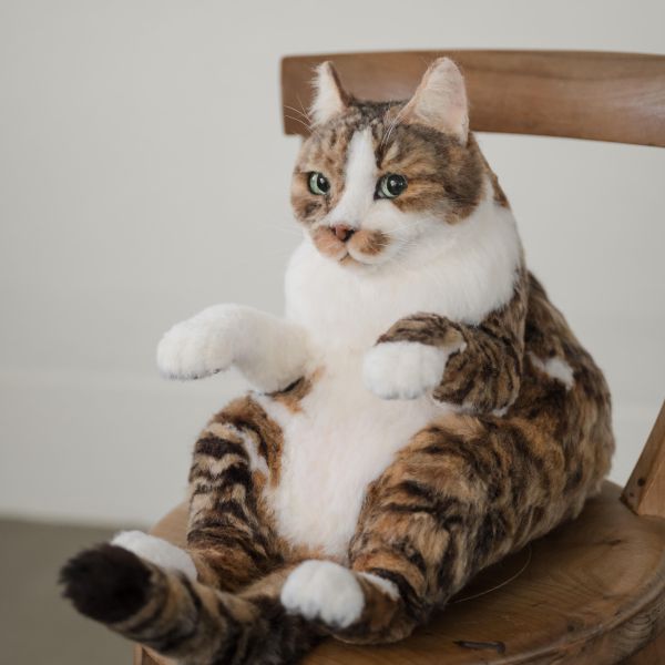 客製化擬真植毛短毛貓咪羊毛氈 羊毛氈,客製,寵物客製化,羊毛氈手作,寵物羊毛氈,貓,擬真,植毛,客製毛孩,寵物紀念,羊毛氈紀念