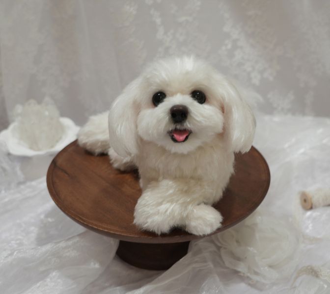 客製化擬真植毛狗羊毛氈 羊毛氈,客製,寵物客製化,羊毛氈手作,寵物羊毛氈,狗,擬真,植毛,客製毛孩,寵物紀念,羊毛氈紀念