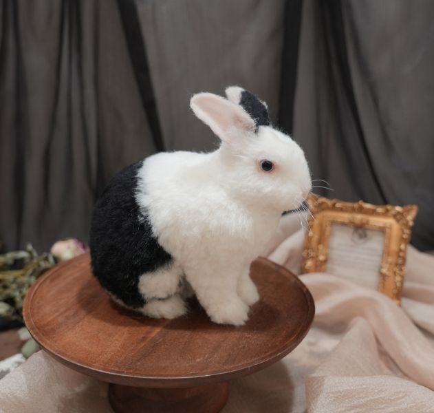 客製化擬真植毛兔羊毛氈 羊毛氈,客製,寵物客製化,羊毛氈手作,寵物羊毛氈,兔,擬真,植毛,客製毛孩,寵物紀念,羊毛氈紀念