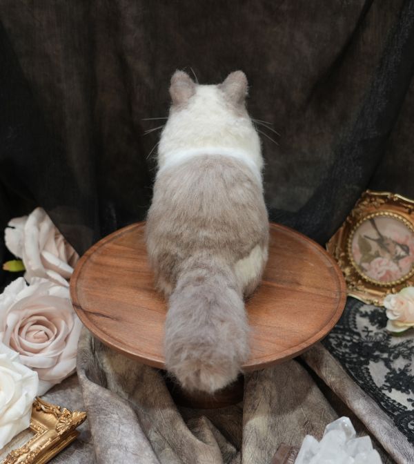 客製化擬真植毛長毛貓咪羊毛氈 羊毛氈,客製,寵物客製化,羊毛氈手作,寵物羊毛氈,貓,擬真,植毛,客製毛孩,寵物紀念,羊毛氈紀念