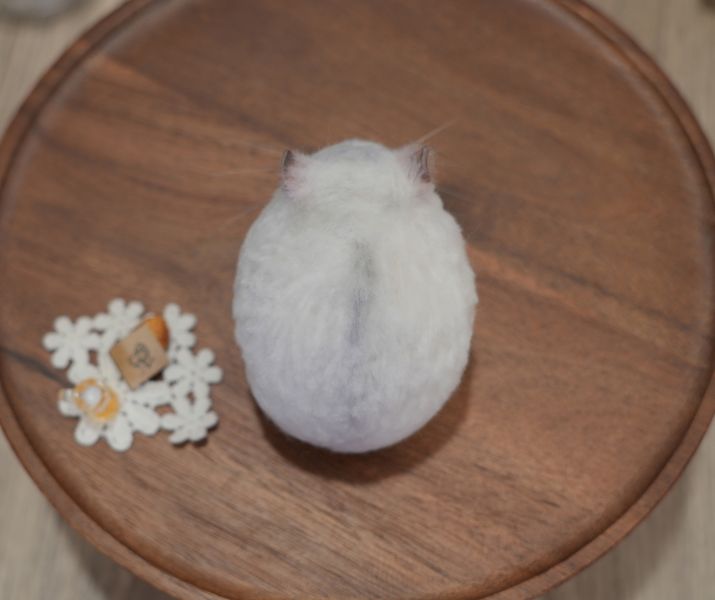 客製化擬真植毛短毛鼠羊毛氈 羊毛氈,客製,寵物客製化,羊毛氈手作,寵物羊毛氈,鼠,黃金鼠,倉鼠,大白鼠,天竺鼠,擬真,植毛,客製毛孩,寵物紀念,羊毛氈紀念