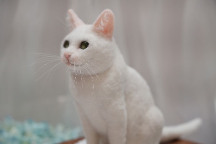 客製化擬真鋪毛短毛貓咪羊毛氈 羊毛氈,客製,寵物客製化,羊毛氈手作,寵物羊毛氈,貓,擬真,鋪毛,客製毛孩,寵物紀念,羊毛氈紀念