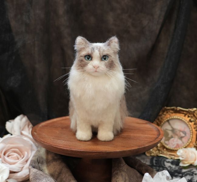 客製化擬真植毛長毛貓咪羊毛氈 羊毛氈,客製,寵物客製化,羊毛氈手作,寵物羊毛氈,貓,擬真,植毛,客製毛孩,寵物紀念,羊毛氈紀念