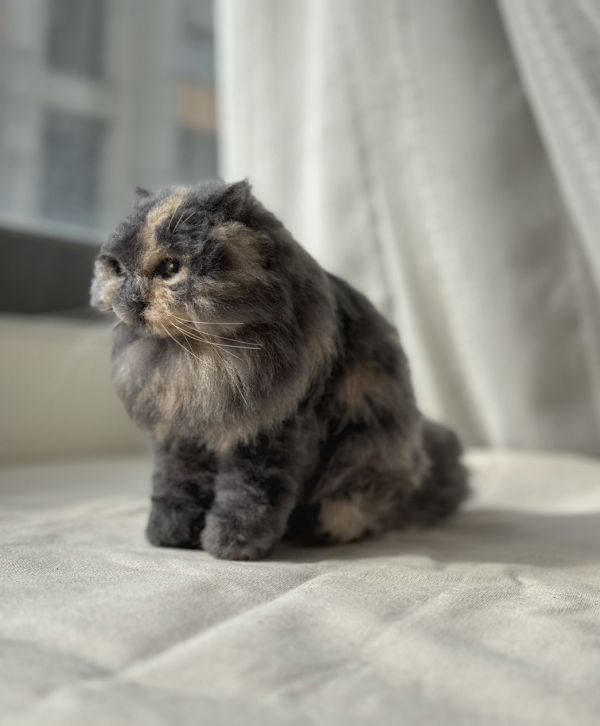 客製化擬真植毛長毛貓咪羊毛氈 羊毛氈,客製,寵物客製化,羊毛氈手作,寵物羊毛氈,貓,擬真,植毛,客製毛孩,寵物紀念,羊毛氈紀念