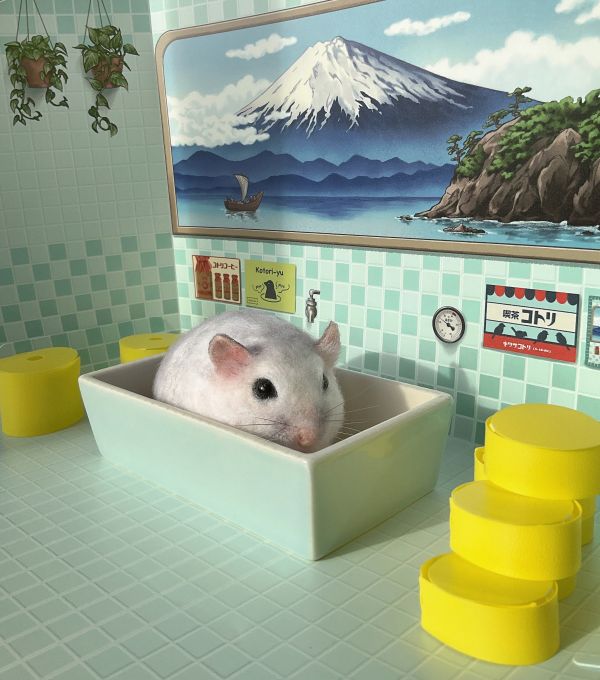 客製化擬真鋪毛短毛鼠羊毛氈 羊毛氈,客製,寵物客製化,羊毛氈手作,寵物羊毛氈,鼠,黃金鼠,倉鼠,天竺鼠,擬真,鋪毛,客製毛孩,寵物紀念,羊毛氈紀念