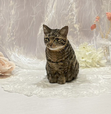 客製化擬真植毛短毛貓咪羊毛氈 羊毛氈,客製,寵物客製化,羊毛氈手作,寵物羊毛氈,貓,擬真,植毛,客製毛孩,寵物紀念,羊毛氈紀念