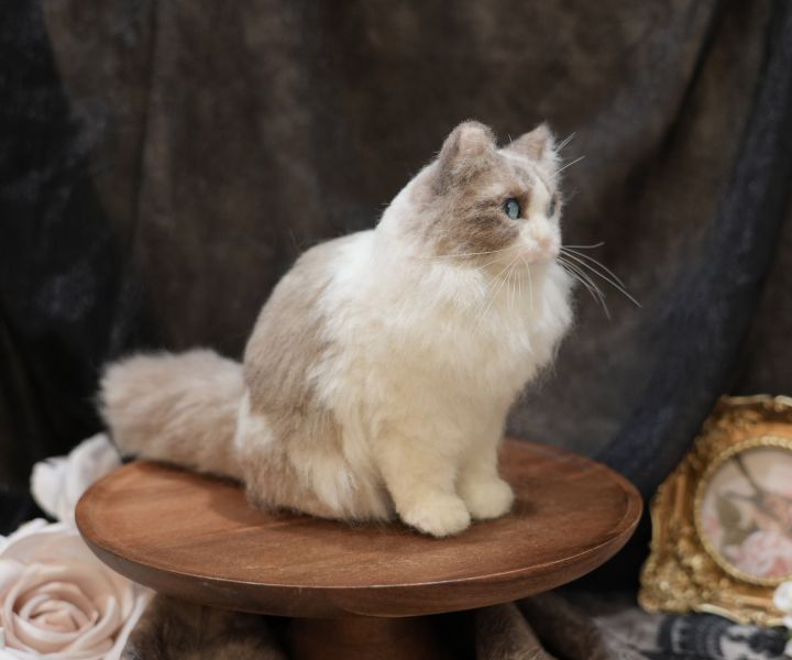 客製化擬真植毛長毛貓咪羊毛氈 羊毛氈,客製,寵物客製化,羊毛氈手作,寵物羊毛氈,貓,擬真,植毛,客製毛孩,寵物紀念,羊毛氈紀念