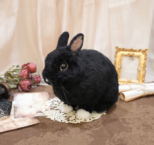客製化擬真植毛兔羊毛氈 羊毛氈,客製,寵物客製化,羊毛氈手作,寵物羊毛氈,兔,擬真,植毛,客製毛孩,寵物紀念,羊毛氈紀念