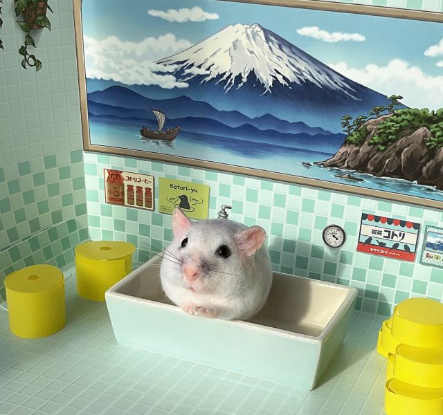 客製化擬真鋪毛短毛鼠羊毛氈 羊毛氈,客製,寵物客製化,羊毛氈手作,寵物羊毛氈,鼠,黃金鼠,倉鼠,天竺鼠,擬真,鋪毛,客製毛孩,寵物紀念,羊毛氈紀念