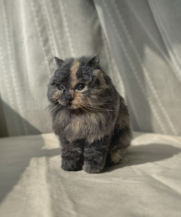 客製化擬真植毛長毛貓咪羊毛氈 羊毛氈,客製,寵物客製化,羊毛氈手作,寵物羊毛氈,貓,擬真,植毛,客製毛孩,寵物紀念,羊毛氈紀念