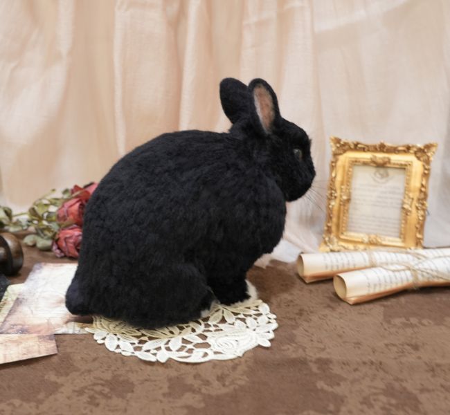 客製化擬真植毛兔羊毛氈 羊毛氈,客製,寵物客製化,羊毛氈手作,寵物羊毛氈,兔,擬真,植毛,客製毛孩,寵物紀念,羊毛氈紀念