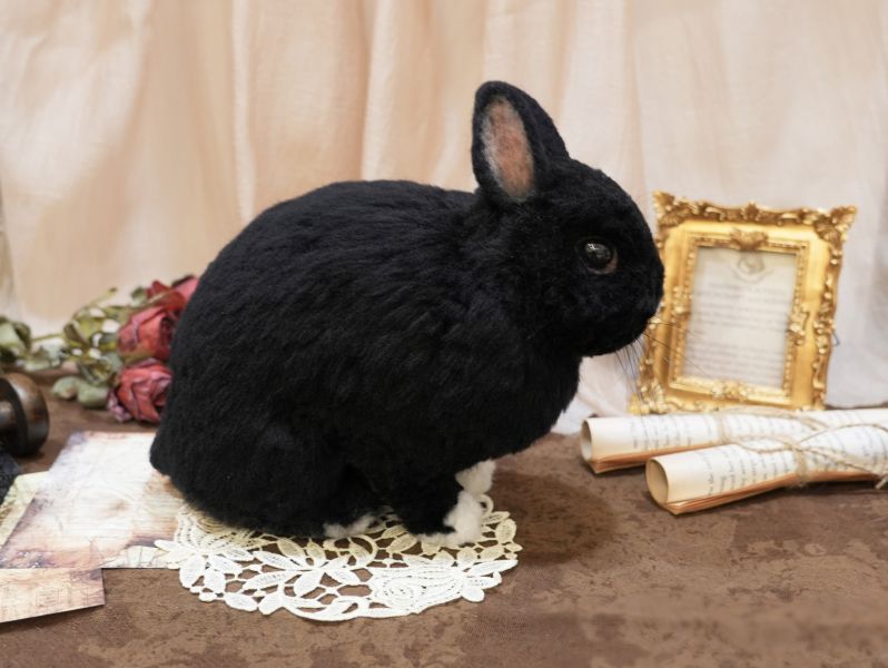 客製化擬真植毛兔羊毛氈 羊毛氈,客製,寵物客製化,羊毛氈手作,寵物羊毛氈,兔,擬真,植毛,客製毛孩,寵物紀念,羊毛氈紀念