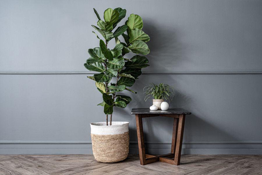 戴文小茶几*需簡易組裝* 