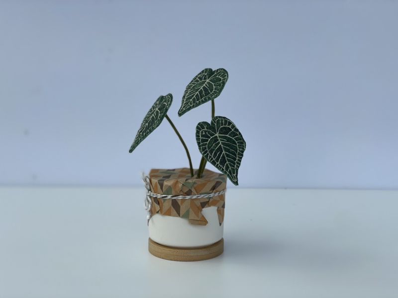 巧穩實業-刺繡植物盆栽 