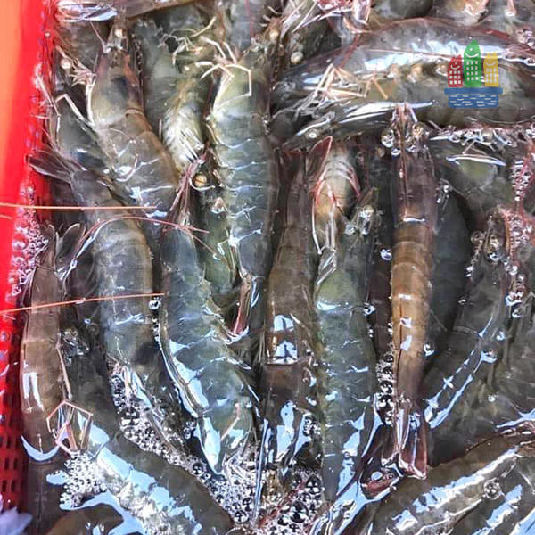 白蝦仁 火鍋,烤肉,蝦仁,健身,高蛋白,月子,海產,懶人料理