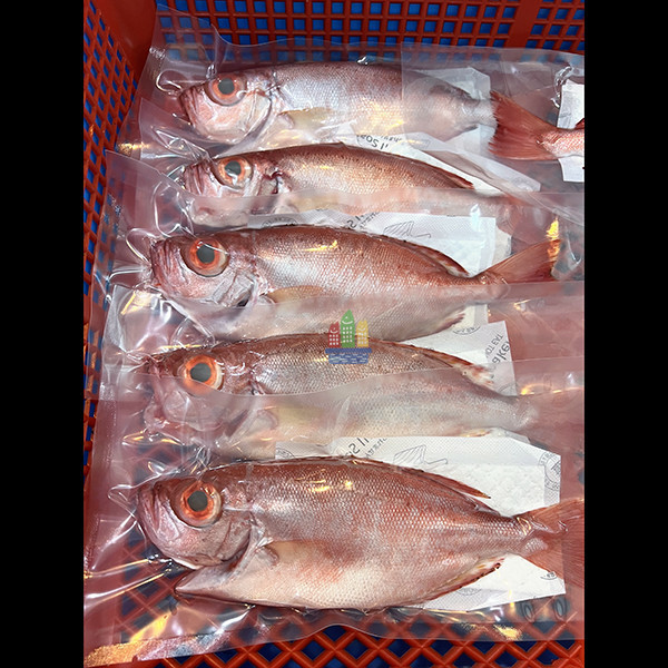 紅目鰱 料理,便當,農會,生魚片,健康,無添加,寵物鮮食