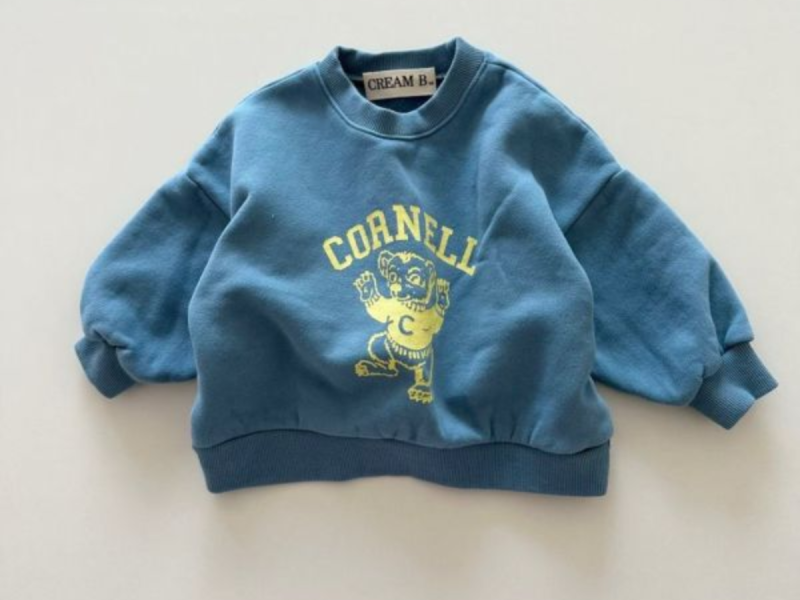 Cornell 小熊內刷毛上衣(2色) 