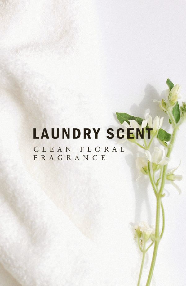 LOE 房間和織物噴霧 210ml_LAUNDRYSCENT 