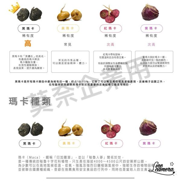 外銷款 幸福保健 飛 頂級黑瑪卡 祕魯 製造100克罐裝出品高濃度100% 瑪卡