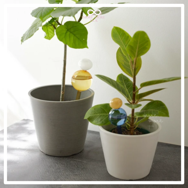 shesay 拚色玻璃自動澆水器|日本 