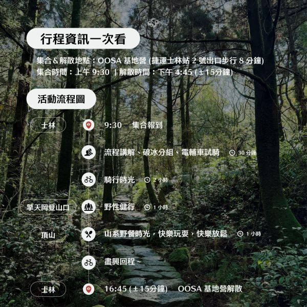 【頂山柳杉林】森林解憂企劃：陽明山電輔騎行 x 水牛步道漫步 x 黑森林野餐 頂山柳杉林步道,陽明山黑森林,擎天岡水牛,陽明山電輔車,陽明山登山步道,陽明山野餐,頂山健行,台北黑森林秘境,陽明山水牛