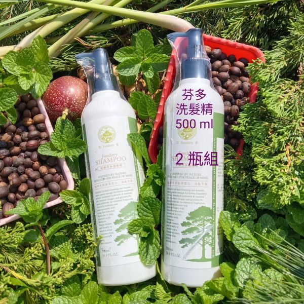 【家興科技】芬多洗髮精｜2 瓶 