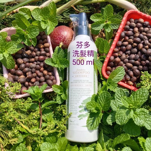 【家興科技】芬多洗髮精｜1 瓶 