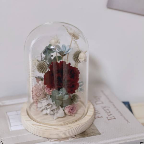 永生康乃馨盆花 紅色系列 乾燥花,永生花,永恆花,盆花,乾燥盆花,永生盆花,開幕盆花,生日,畢業,母親節,情人節,索拉花,太陽花