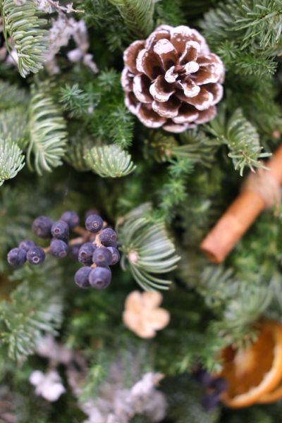 北歐諾貝松聖誕樹｜聖誕經典 乾燥花,永生花,索拉花,太陽玫瑰,乾燥盆花,情人節,母親節,生日