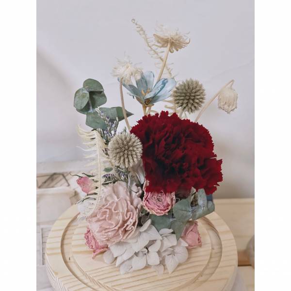 永生康乃馨盆花 紅色系列 乾燥花,永生花,永恆花,盆花,乾燥盆花,永生盆花,開幕盆花,生日,畢業,母親節,情人節,索拉花,太陽花