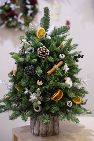 北歐諾貝松聖誕樹｜聖誕經典 乾燥花,永生花,索拉花,太陽玫瑰,乾燥盆花,情人節,母親節,生日