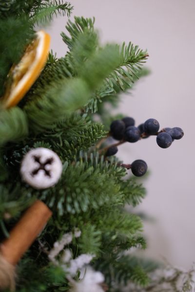 北歐諾貝松聖誕樹｜聖誕經典 乾燥花,永生花,索拉花,太陽玫瑰,乾燥盆花,情人節,母親節,生日