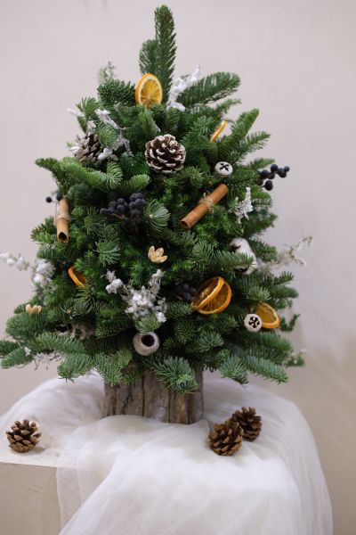 北歐諾貝松聖誕樹｜聖誕經典 乾燥花,永生花,索拉花,太陽玫瑰,乾燥盆花,情人節,母親節,生日