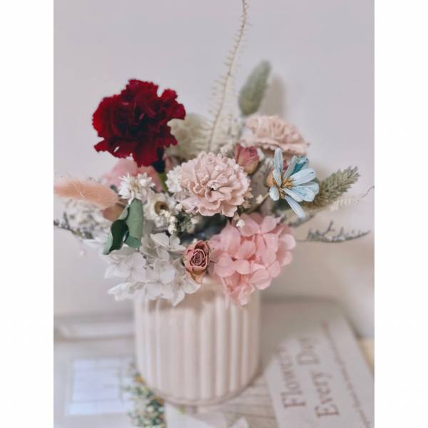 永生康乃馨盆花 紅色系列 乾燥花,永生花,永恆花,盆花,乾燥盆花,永生盆花,開幕盆花,生日,畢業,母親節,情人節,索拉花,太陽花