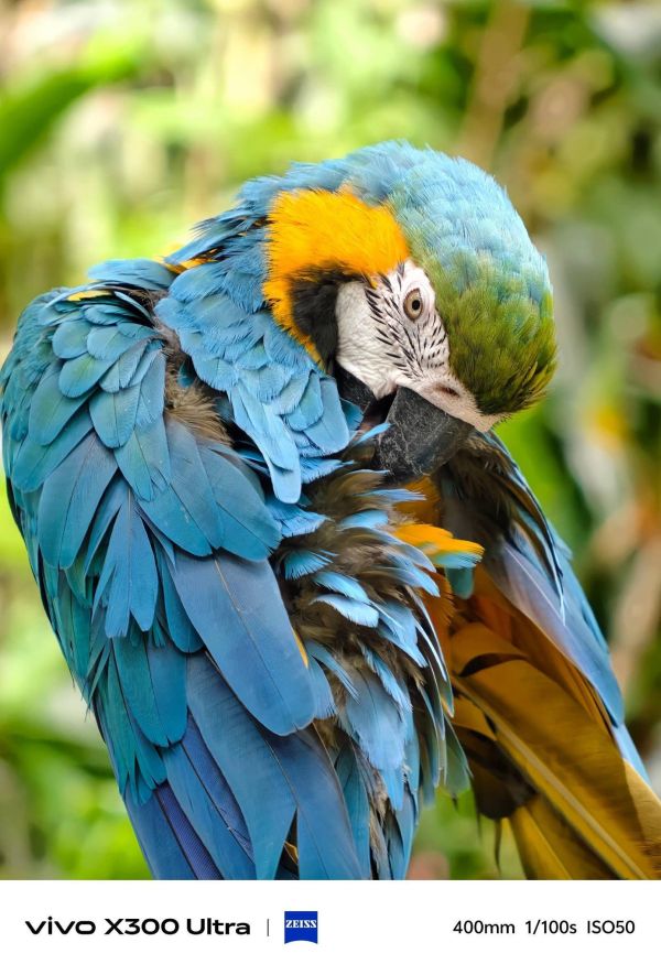 【預購定金】x300 Ultra 全焦段觀演神器 最佳旅行攝影手機 