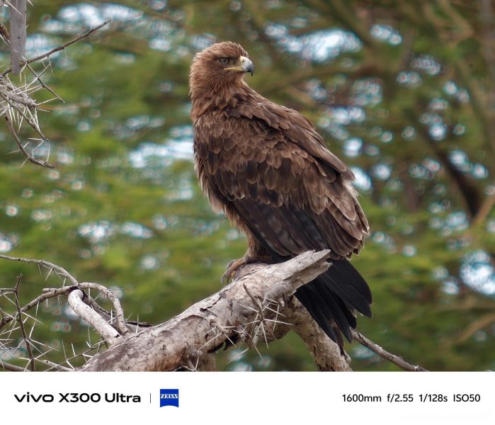 【預購定金】x300 Ultra 全焦段觀演神器 最佳旅行攝影手機 